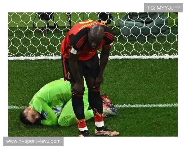 卢卡库强行摆脱后爆射,比利时禁区边缘威胁极高 卢卡库强行摆脱后爆射,比利时禁区边缘威胁极高